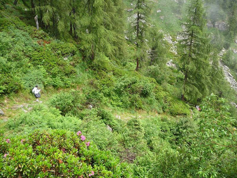 P1000542.JPG
