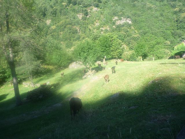 P1010338.JPG