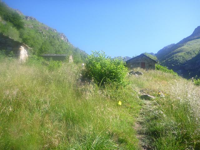 P1010341.JPG