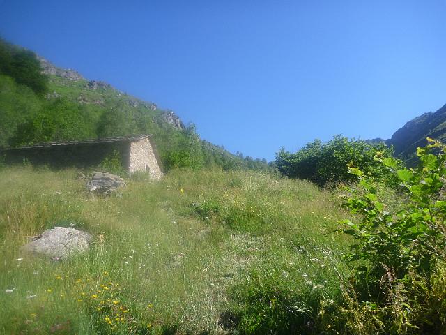 P1010343.JPG