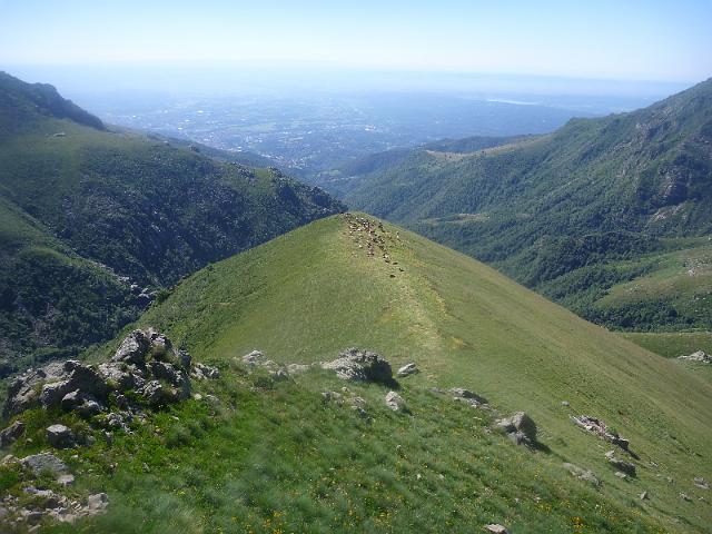 P1010360.JPG