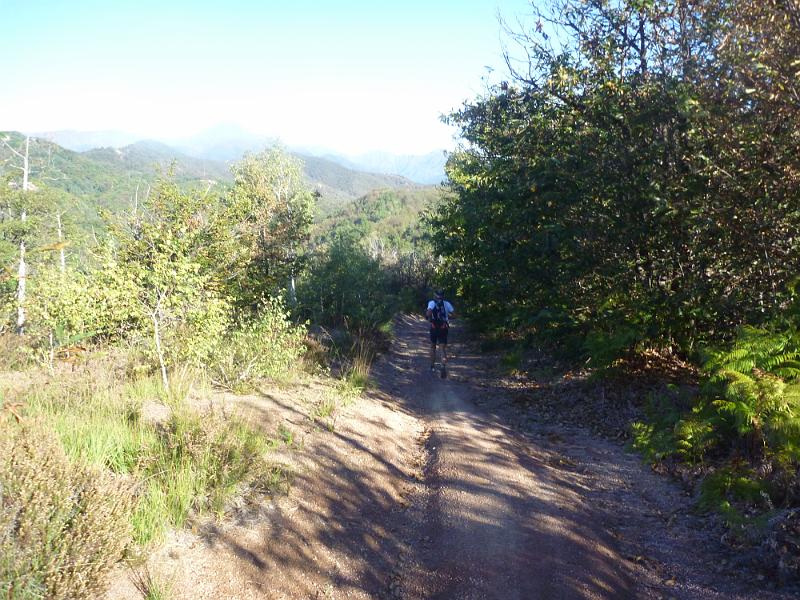 P1010959.JPG