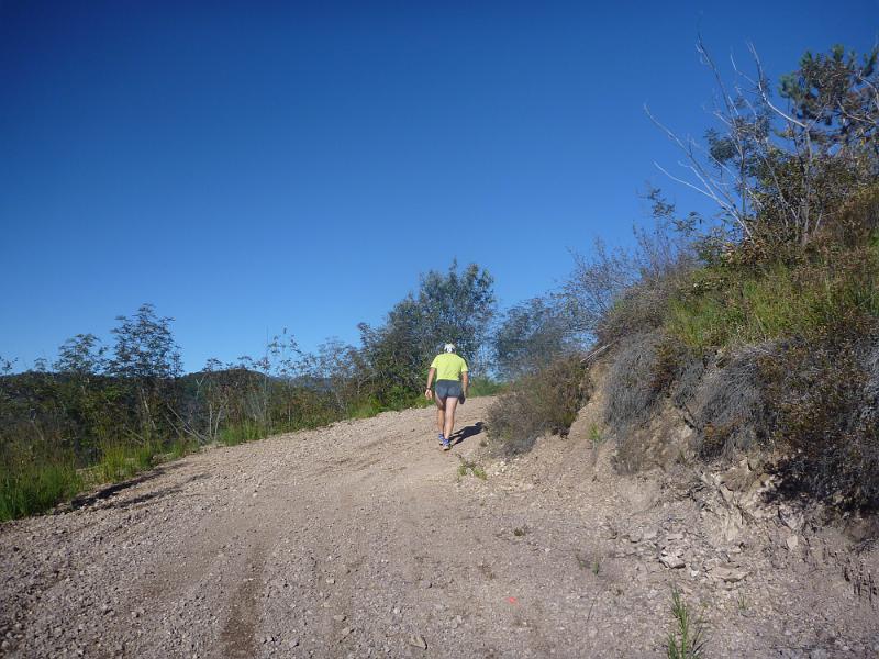 P1010967.JPG