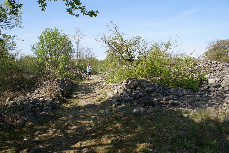 DSC06384.JPG