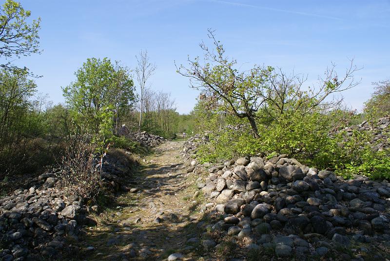 DSC06388.JPG