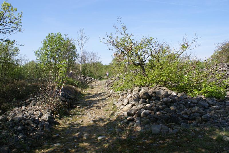 DSC06389.JPG