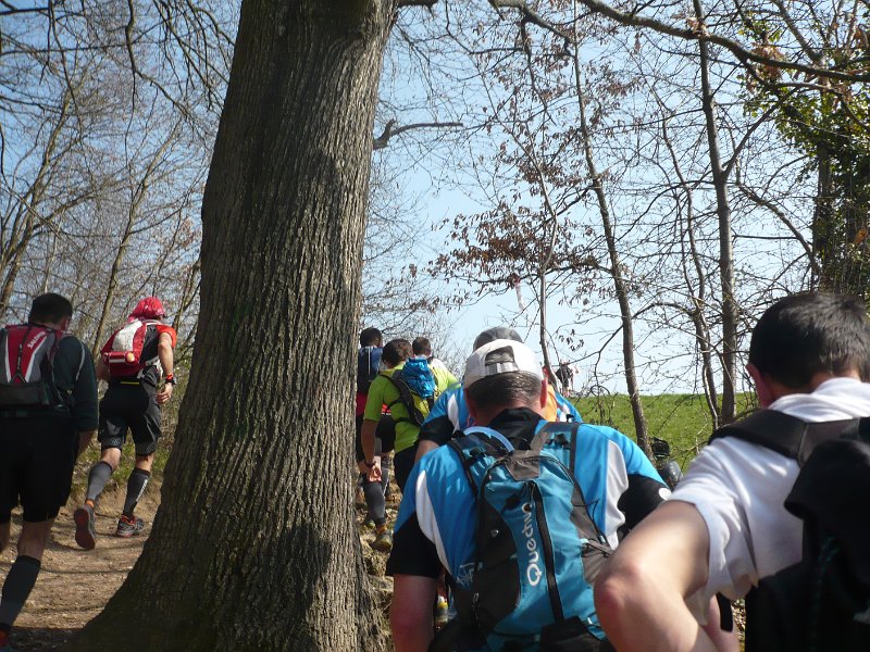 P1040824.JPG