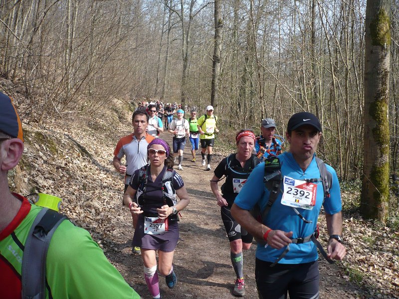 P1040859.JPG