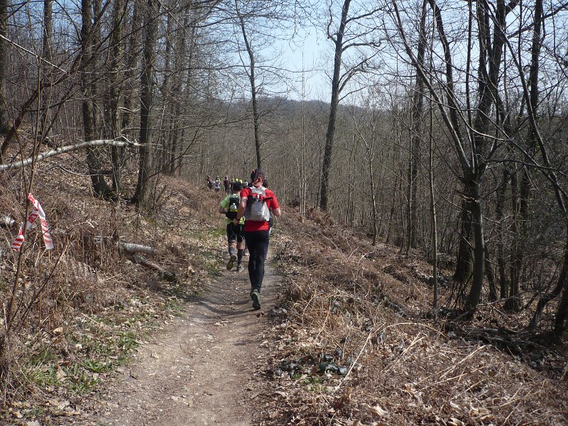 P1040861.JPG