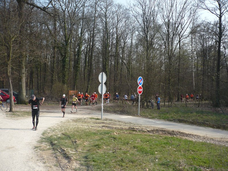 P1040938.JPG
