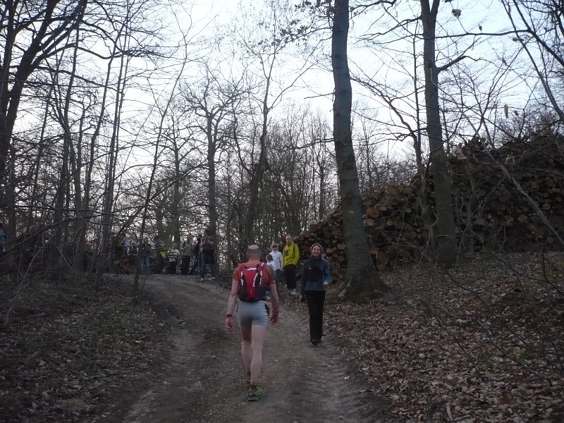 P1040997.JPG