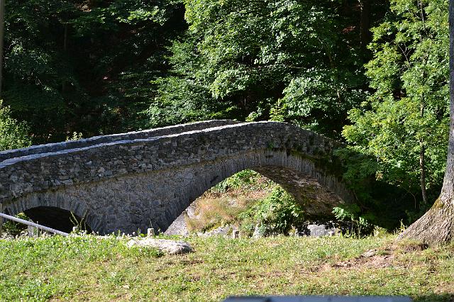 DSC_0054.JPG - vedovina