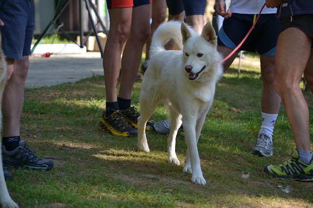 DSC_0080.JPG - vedovina