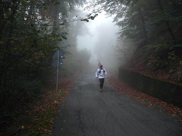 P1030378.JPG