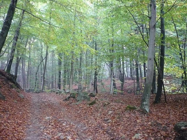 P1030394.JPG