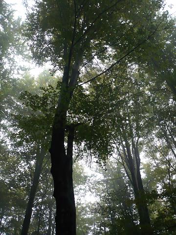 P1030400.JPG