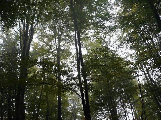 P1030401.JPG