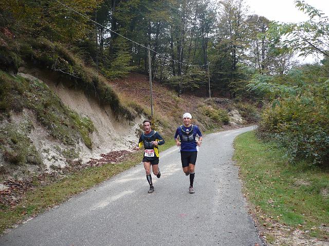 P1030411.JPG