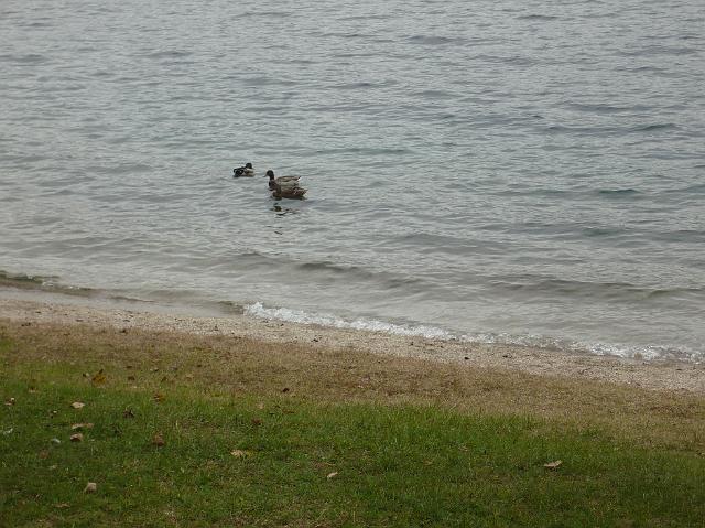 P1030439.JPG