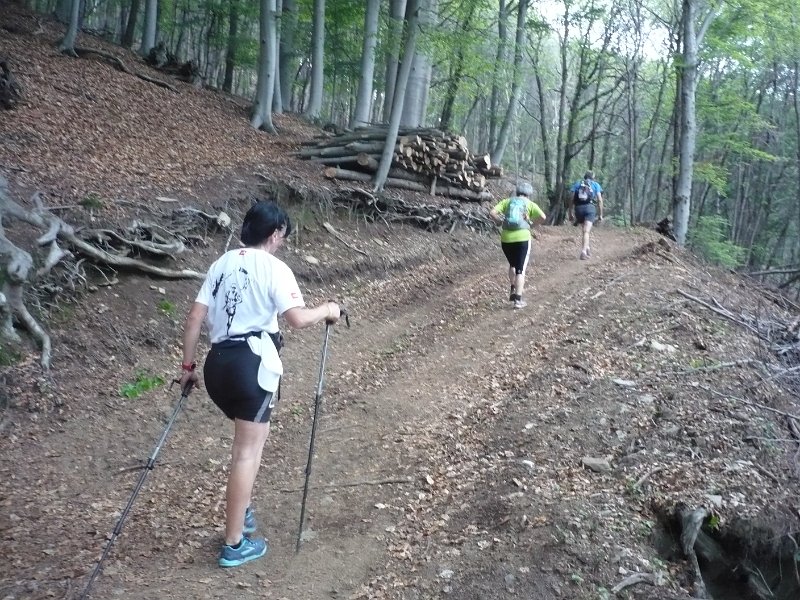 P1050115.JPG