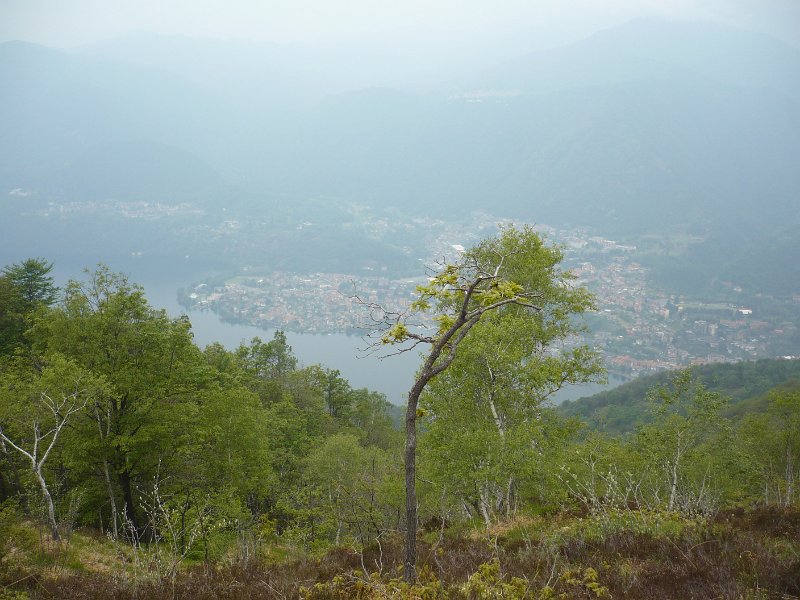 P1050120.JPG