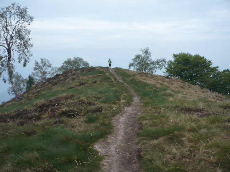 P1050147.JPG