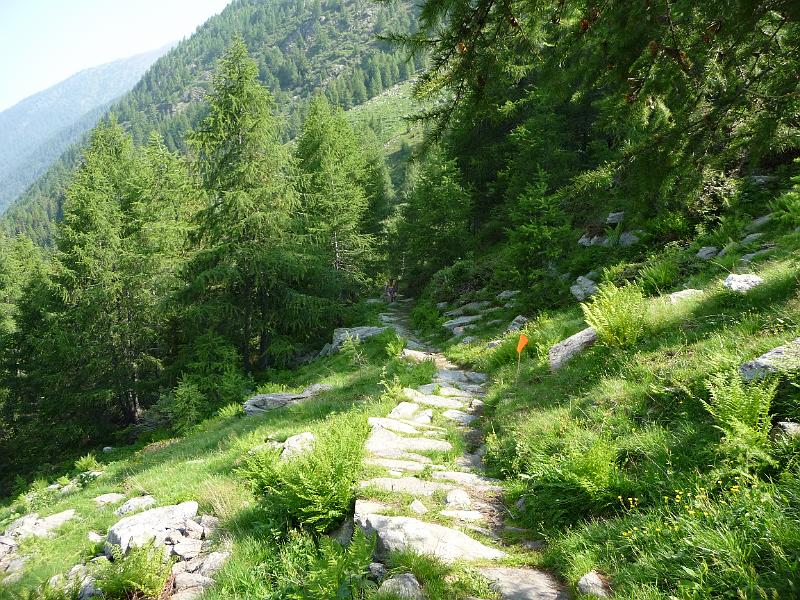 P1000178.JPG