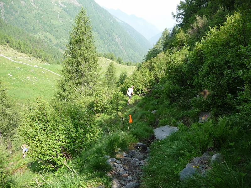 P1000182.JPG