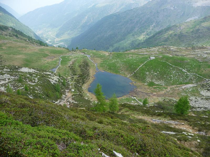 P1000219.JPG
