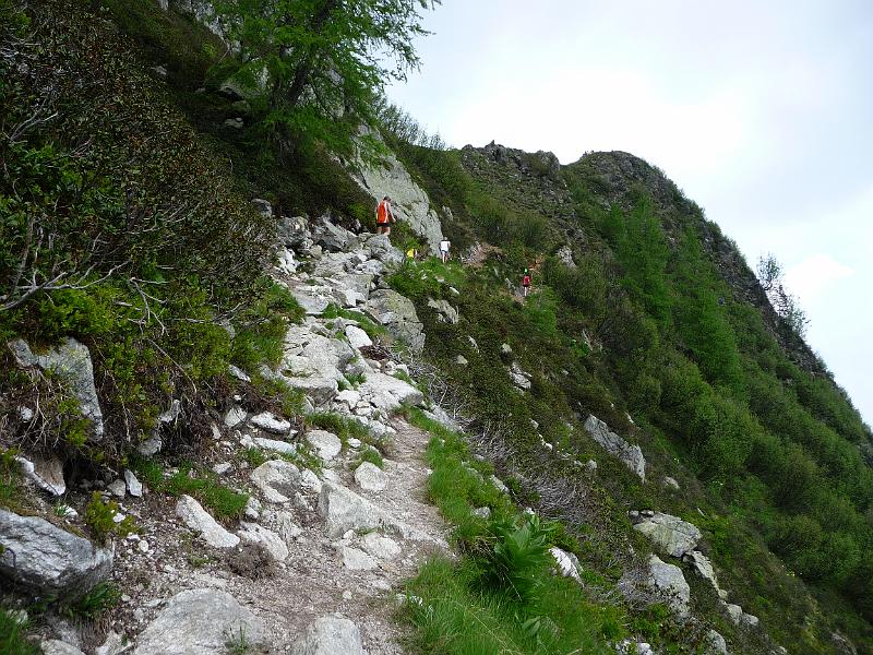P1000223.JPG