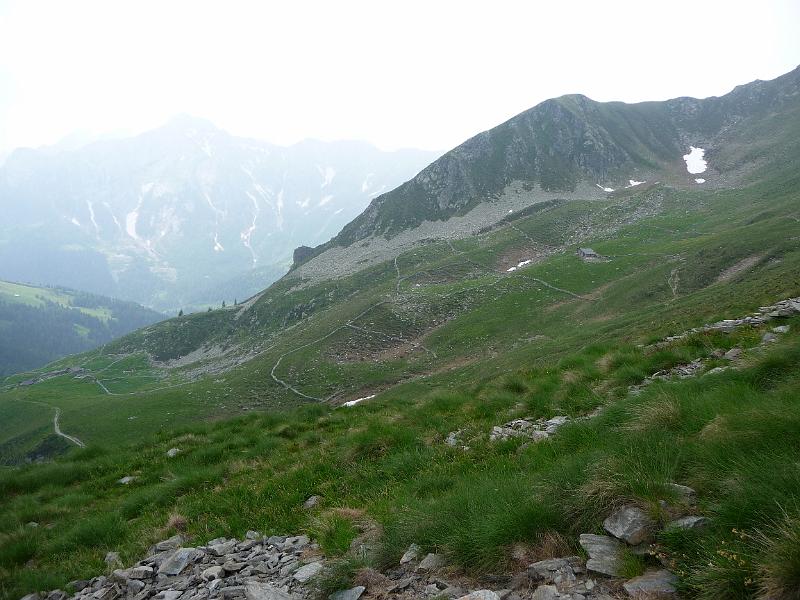 P1000239.JPG