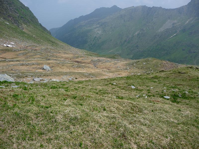 P1000266.JPG