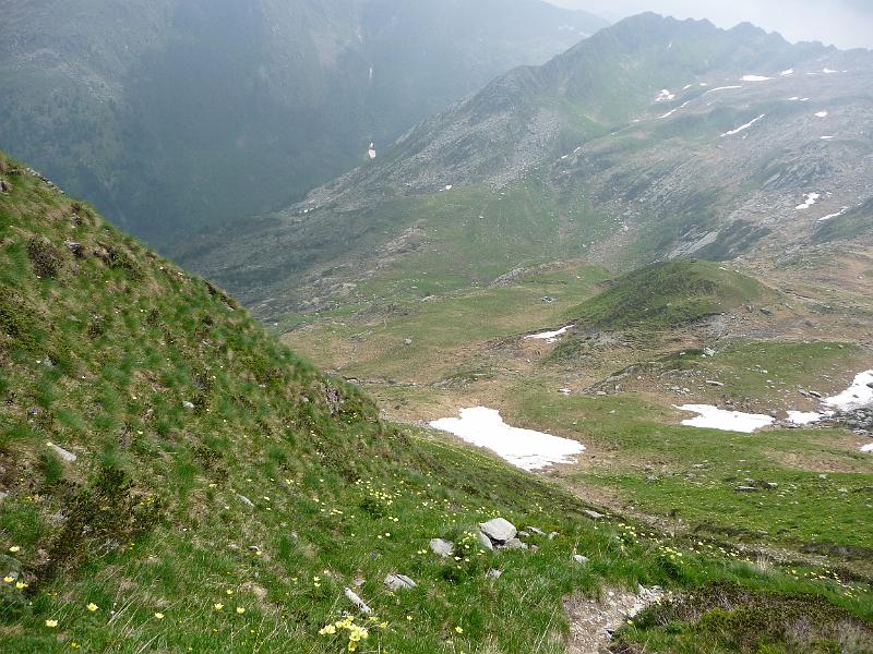 P1000290.JPG