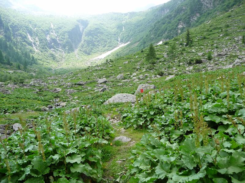 P1000310.JPG