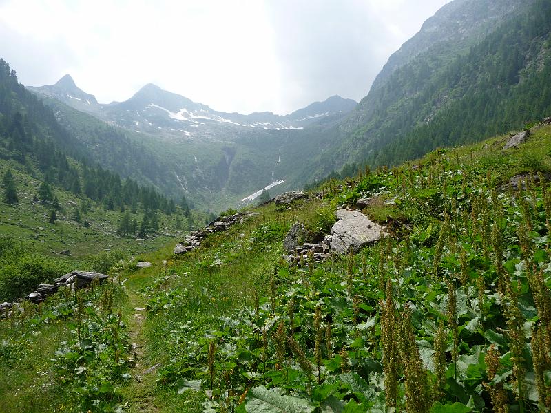P1000313.JPG