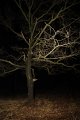 IMG_0168