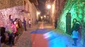 DSCN8696