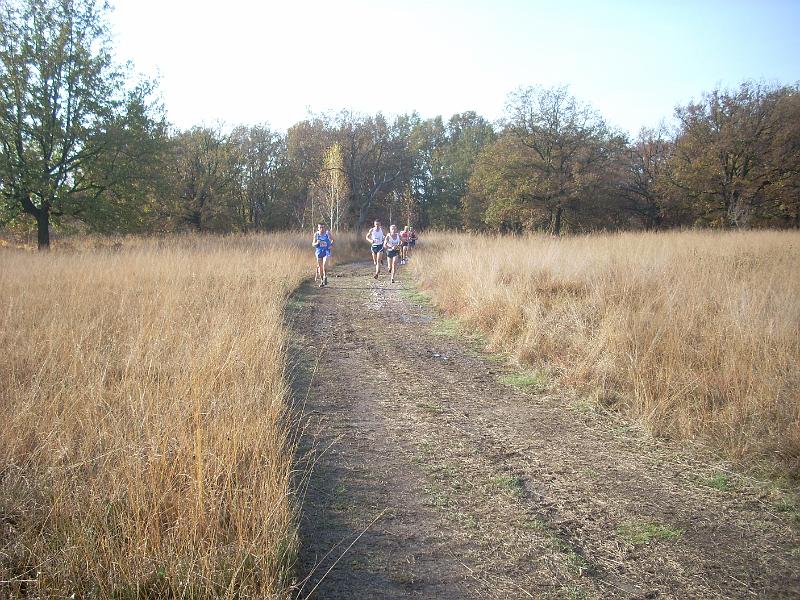DSCN1787.JPG