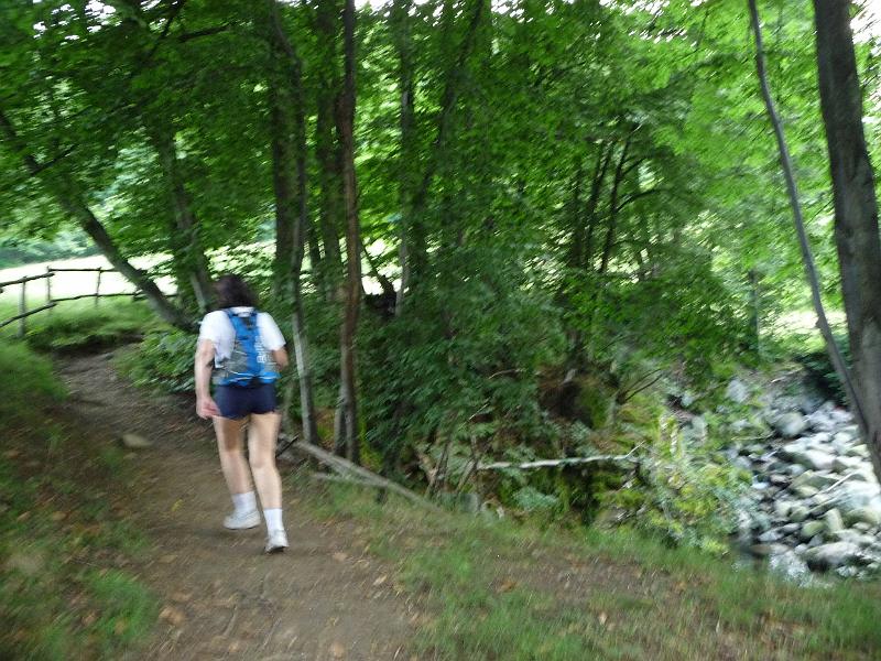 P1000418.JPG - Lungo il torrente Oropa