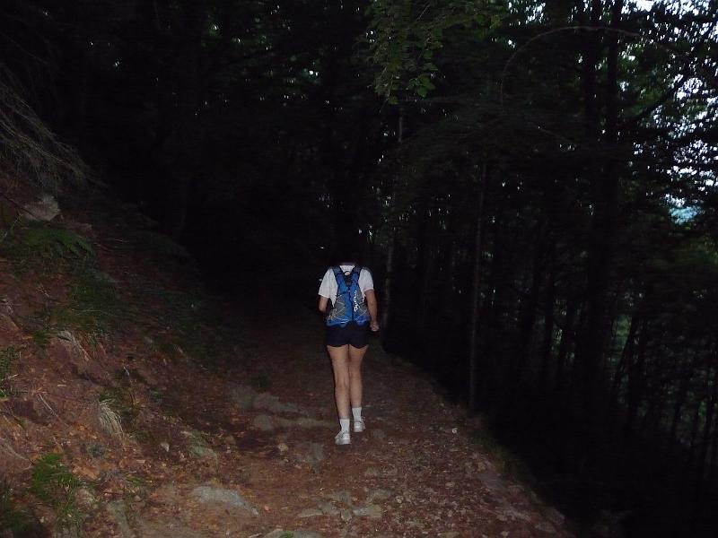 P1000441.JPG